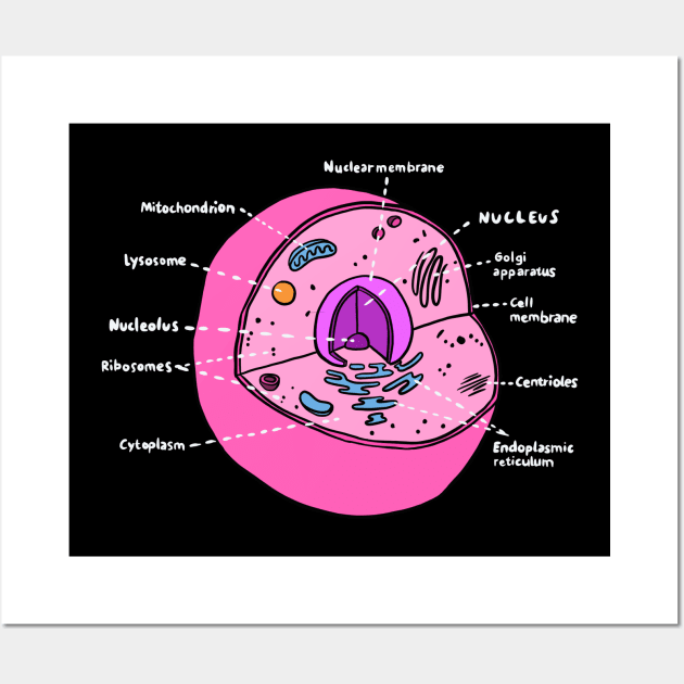 Cell (Biology Poster) Wall Art by isstgeschichte